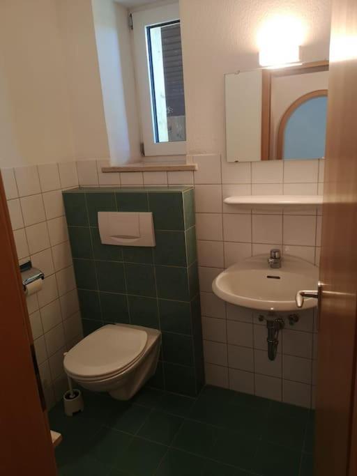 Grosszuegiges Haus Angrenzend An Naturschutzgebiet Immenstadt im Allgäu Exterior foto
